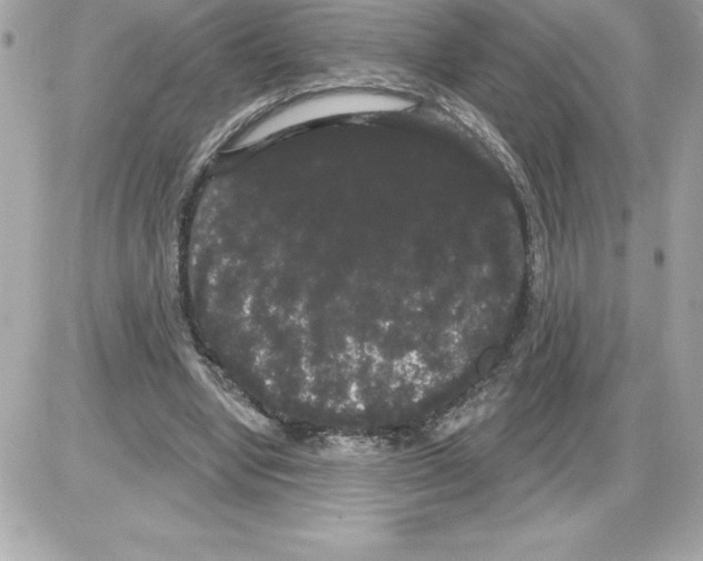 X0000085220442200704091936