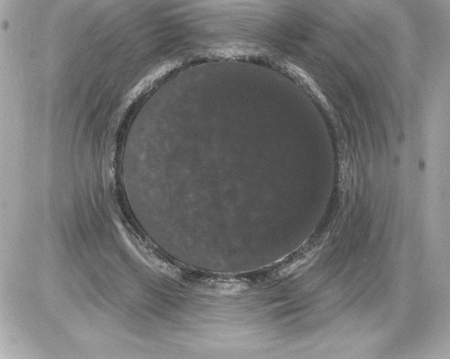 X0000085220443200704091936