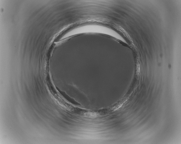 X0000085220444200704091936