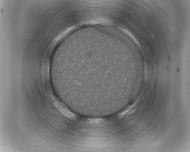 X0000085220446200704091936