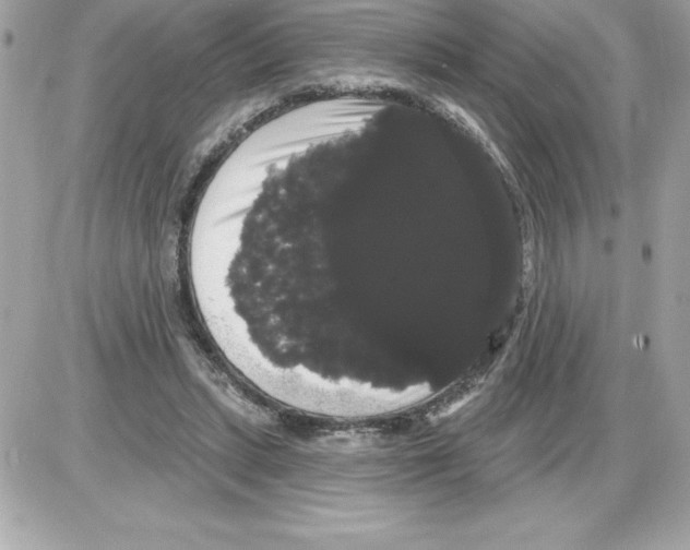 X0000085220447200704091936