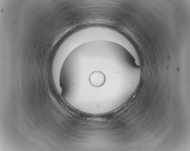 X0000085220448200704091936