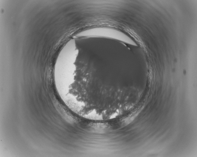 X0000085220449200704091936