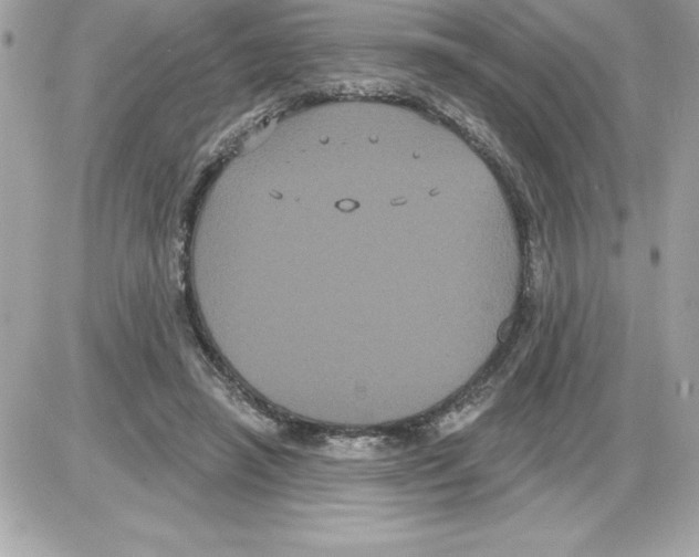 X0000085220450200704091936