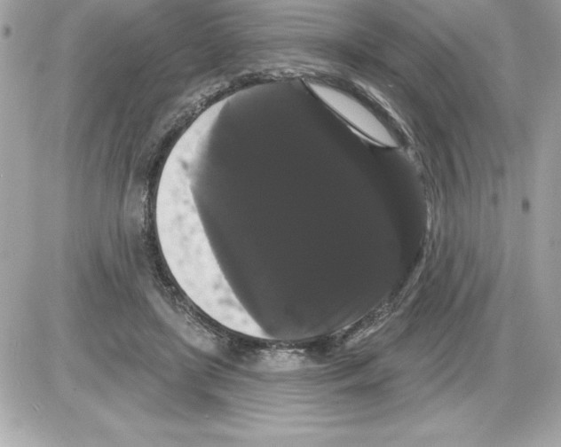 X0000085220451200704091936