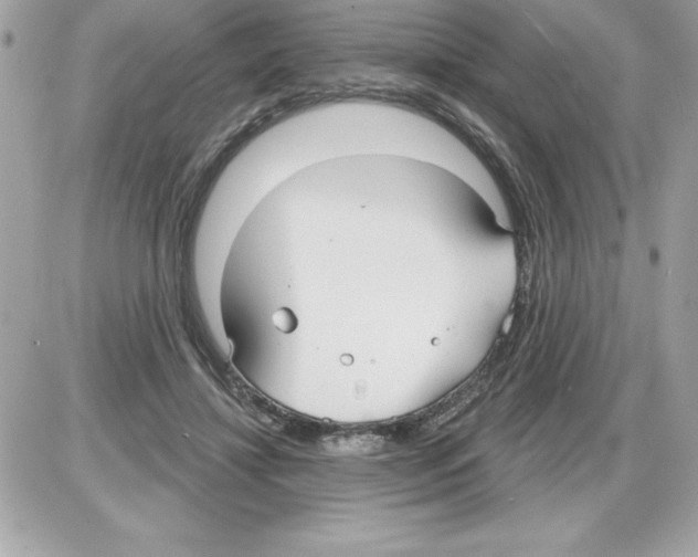 X0000085220452200704091936