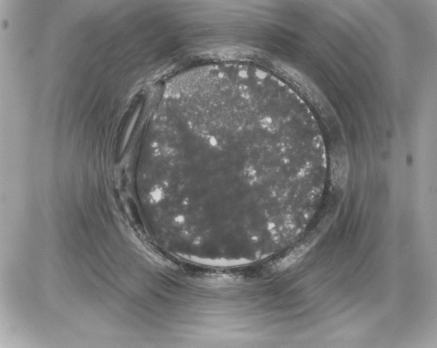 X0000085220453200704091936