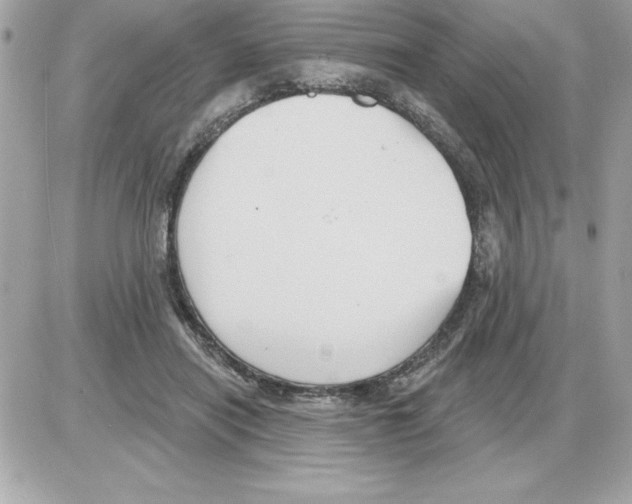 X0000085220454200704091936