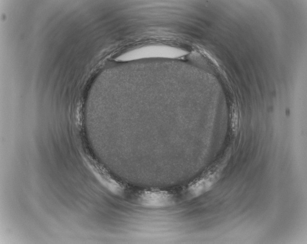 X0000085220455200704091936