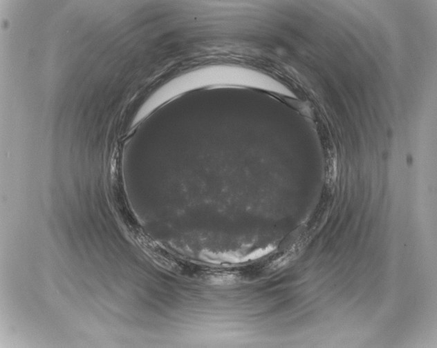 X0000085220456200704091936