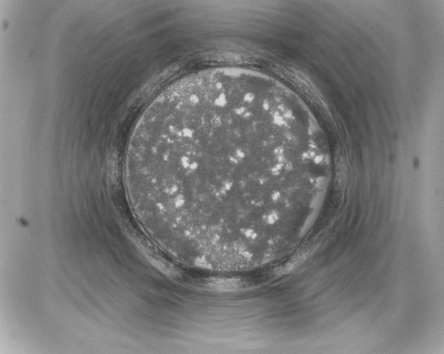 X0000085220457200704091936