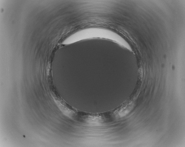 X0000085220458200704091936