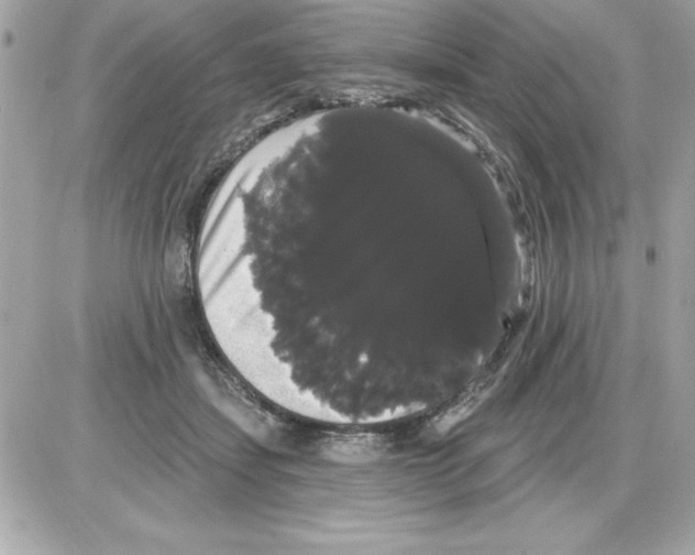 X0000085220459200704091936