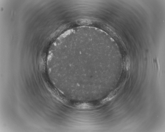 X0000085220460200704091936