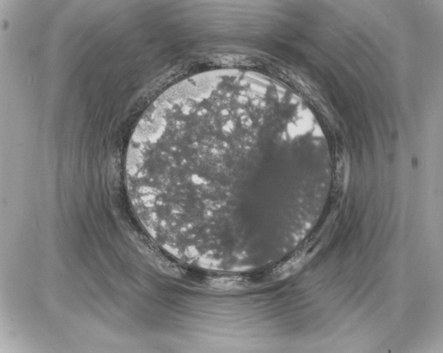 X0000085220461200704091936