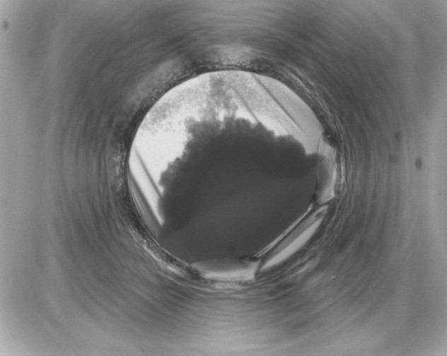 X0000085220462200704091936