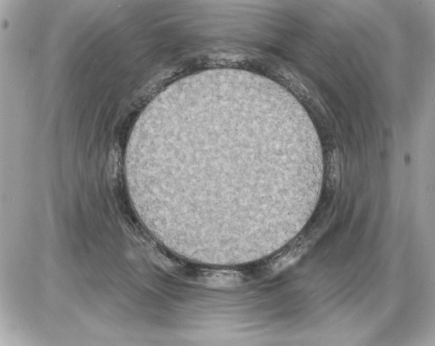 X0000085220463200704091936