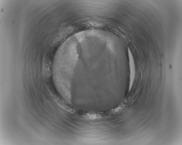 X0000085220464200704091936