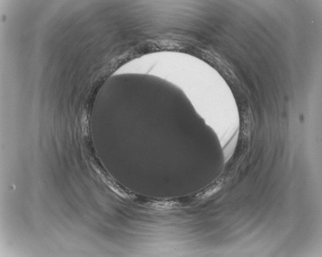 X0000085220465200704091936