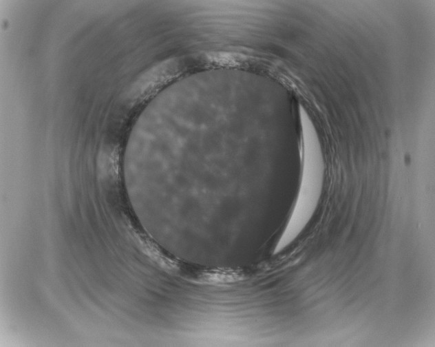 X0000085220466200704091936