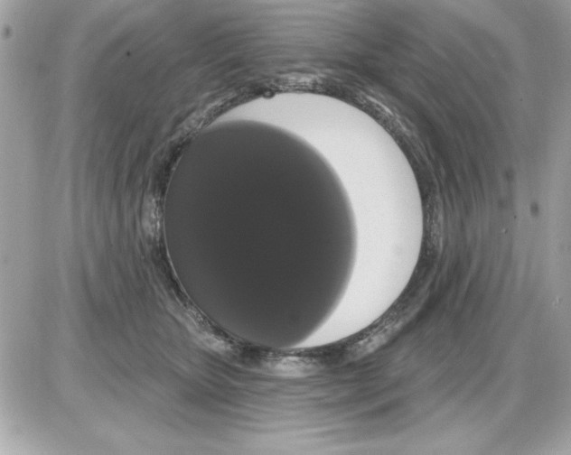 X0000085220467200704091936