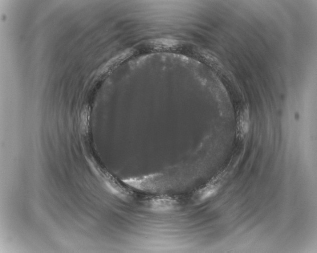 X0000085220468200704091936