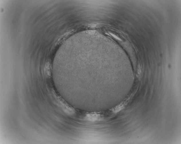 X0000085220470200704091936