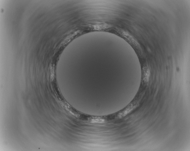 X0000085220471200704091936