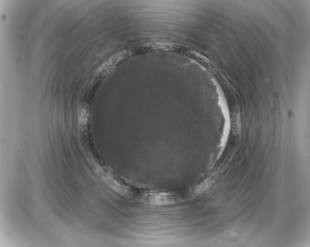 X0000085220472200704091936