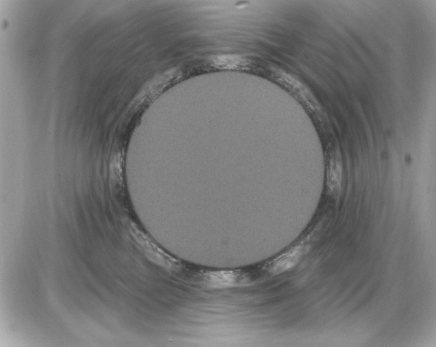 X0000085220473200704091936