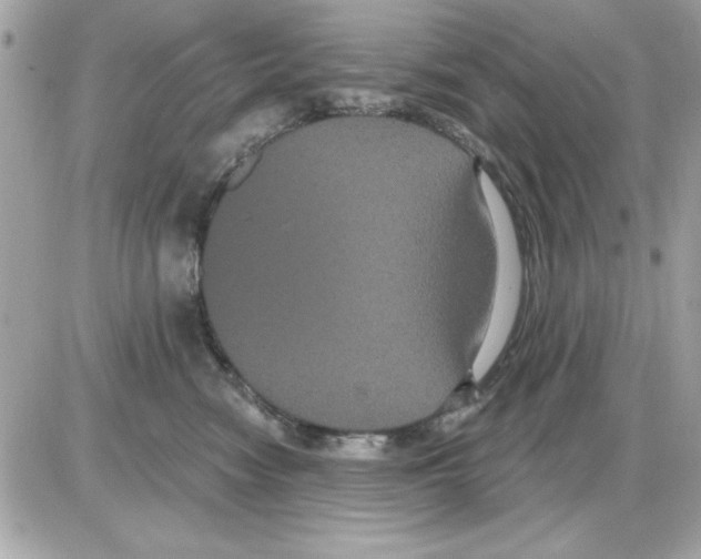 X0000085220474200704091936