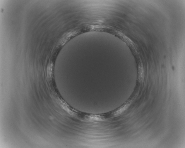 X0000085220475200704091936