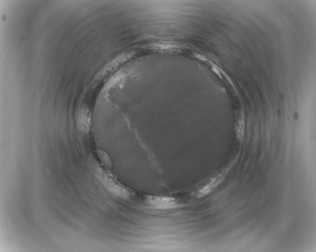 X0000085220476200704091936