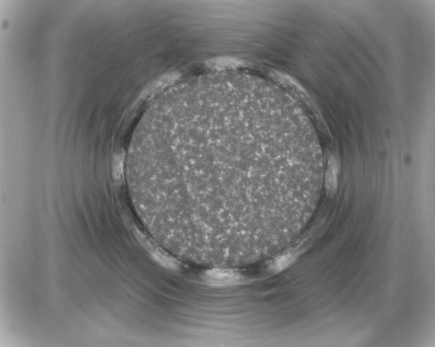 X0000085220477200704091936