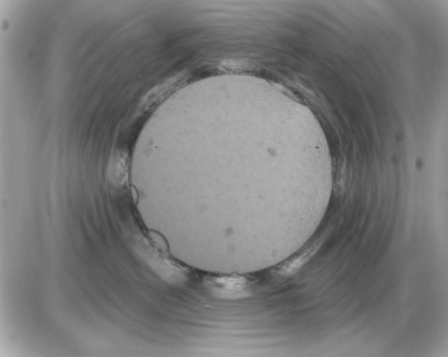 X0000085220478200704091936