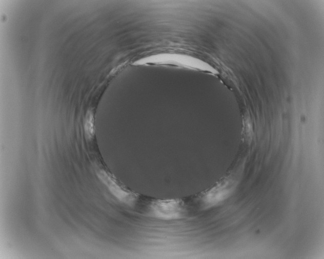 X0000085220479200704091936