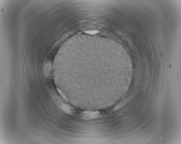 X0000085220480200704091936