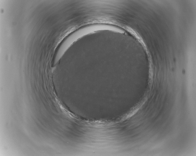 X0000085220481200704091936