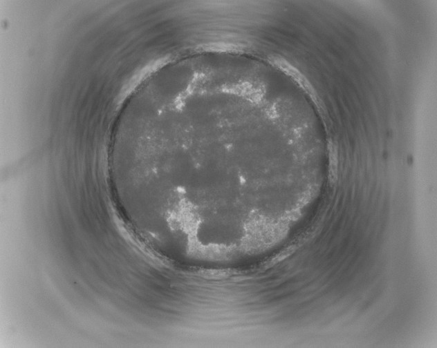 X0000085220482200704091936