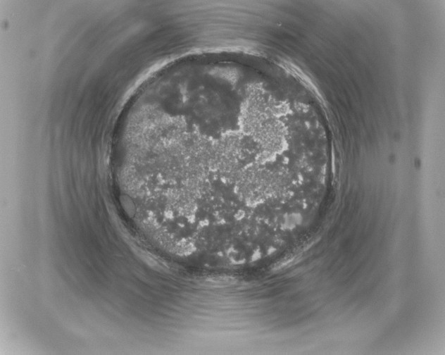 X0000085220483200704091936