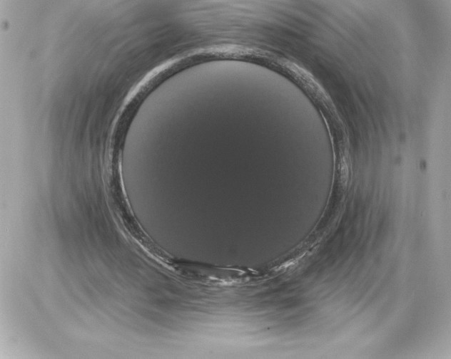 X0000085220484200704091936