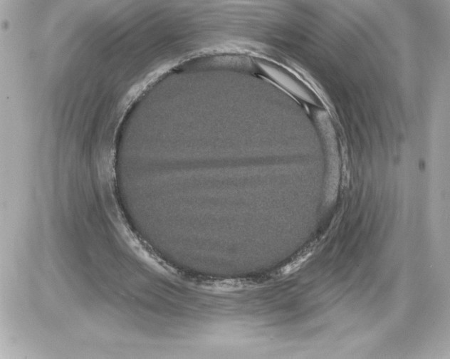 X0000085220485200704091936