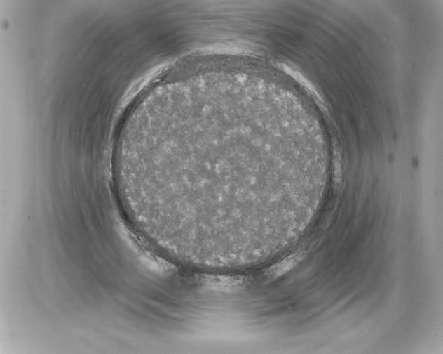 X0000085220486200704091936