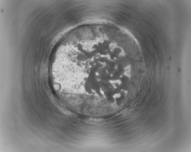 X0000085220487200704091935