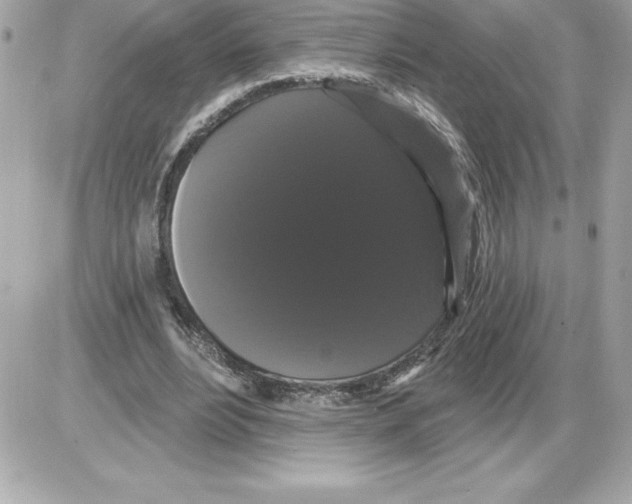 X0000085220488200704091935