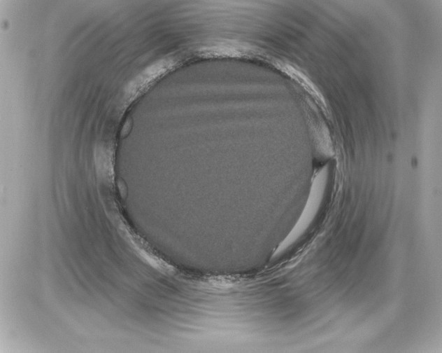 X0000085220489200704091935