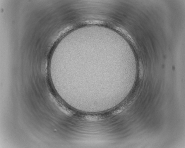 X0000085220490200704091935