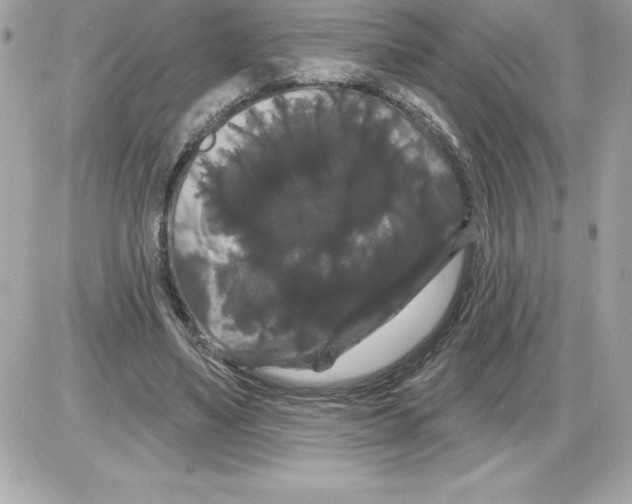 X0000085220491200704091935