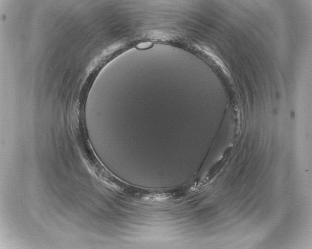 X0000085220492200704091935