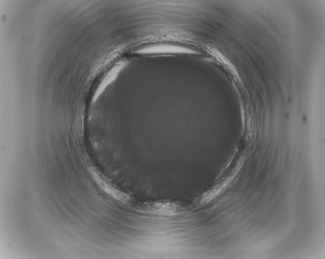 X0000085220493200704091935